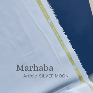 Silver Moon